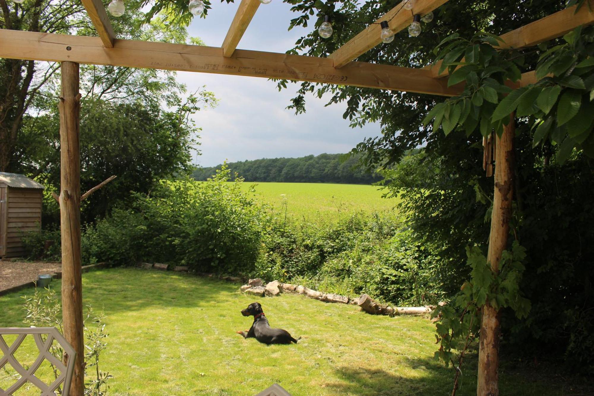 The Yurt At Worcesters Farm Cantorbéry Extérieur photo